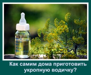 Укропная водичка